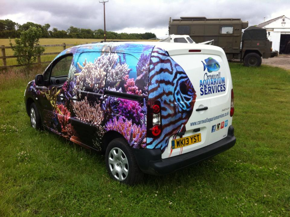 Aquarium Specialists Cornwall