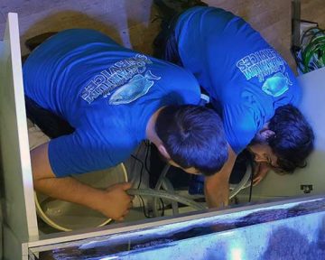 Aquarium servicing