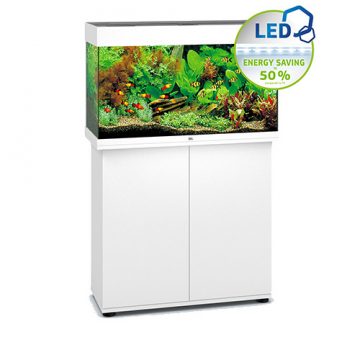 Rio 125 aquarium rental package