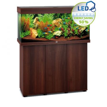 Rio 180 aquarium rental package